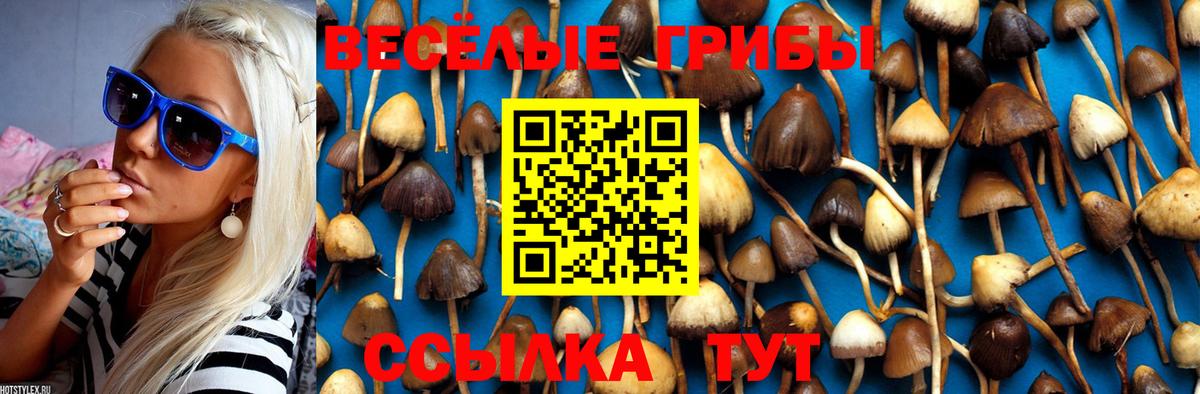 Боровичи  Псилоцибиновые грибы Psilocybe  Галлюциногенные грибы GOLDEN TEACHER  Вход с VPN 